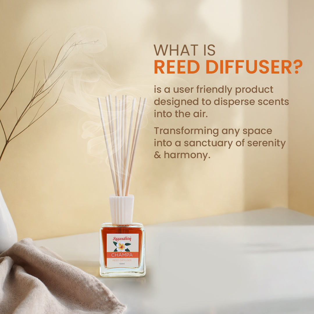 Reed Diffuser Champa - 100ml + 5 Sticks