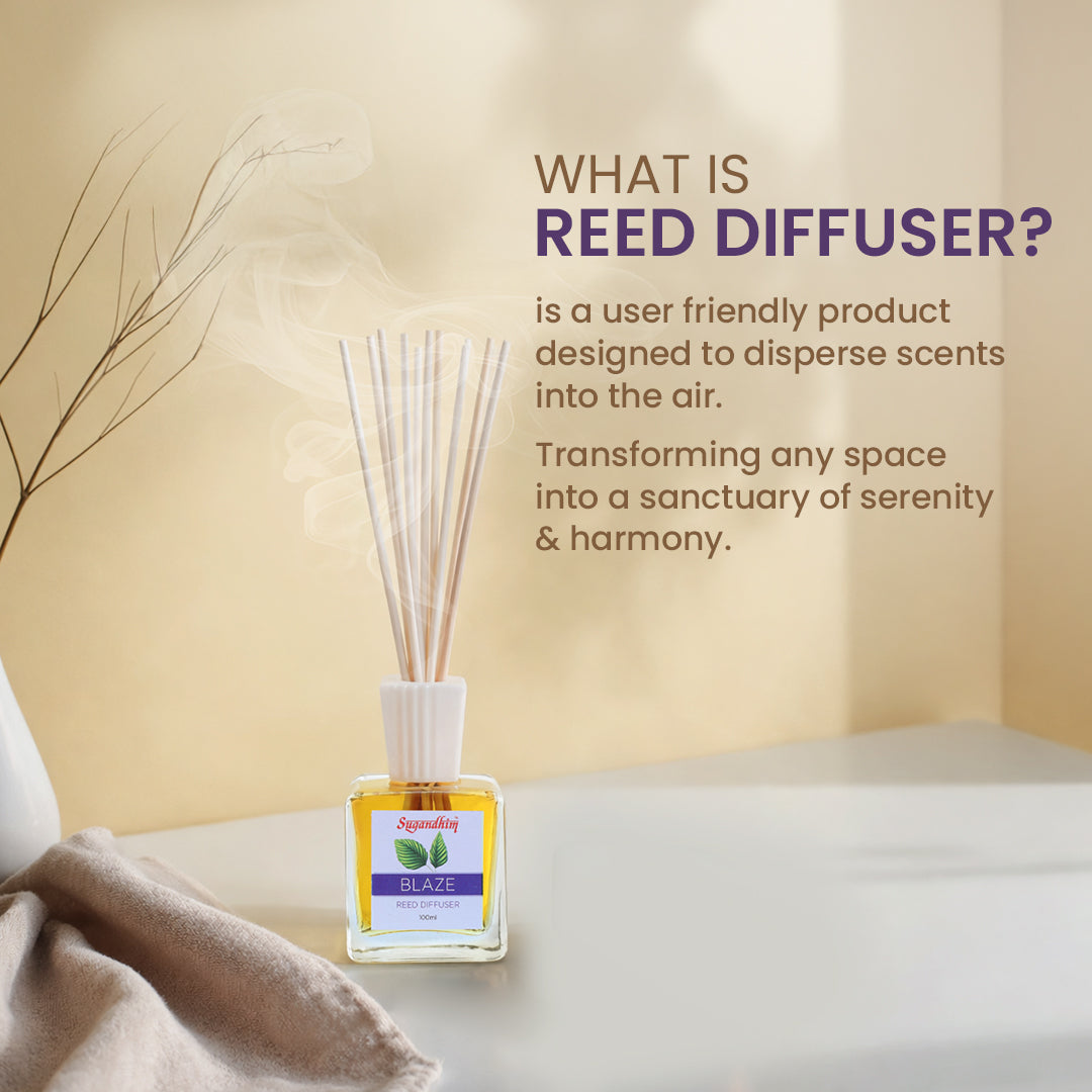 Reed Diffuser Customers favourite - Blaze & Charisma fragrance - 100mlX2 & 5 Sticks in each