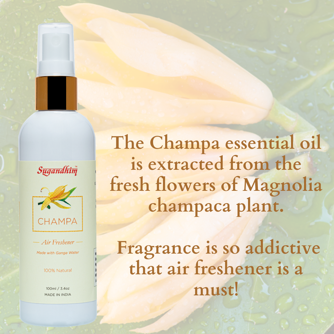 Air Freshener Champa - 100ml