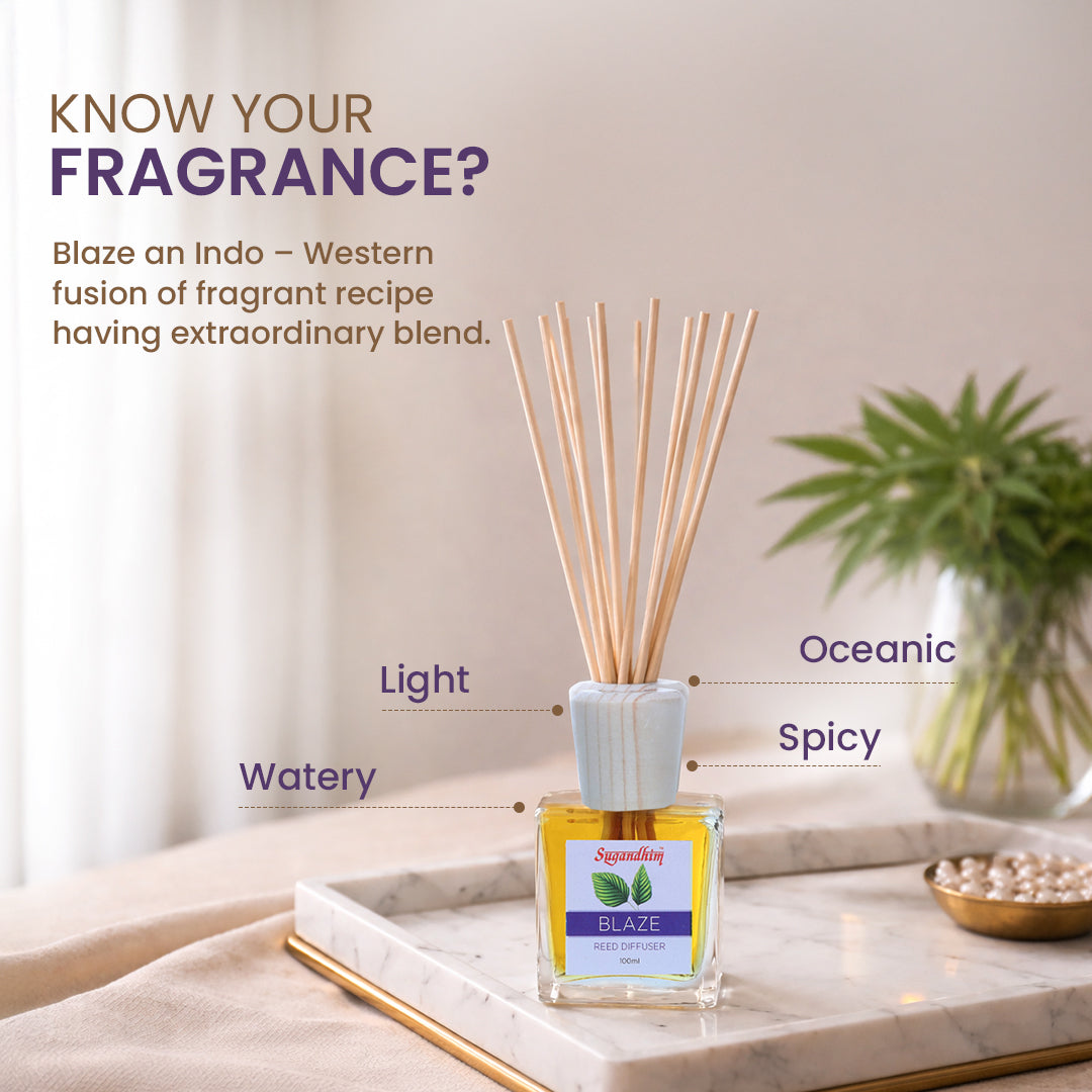 Reed Diffuser Blaze - 100 ml + 5 Sticks