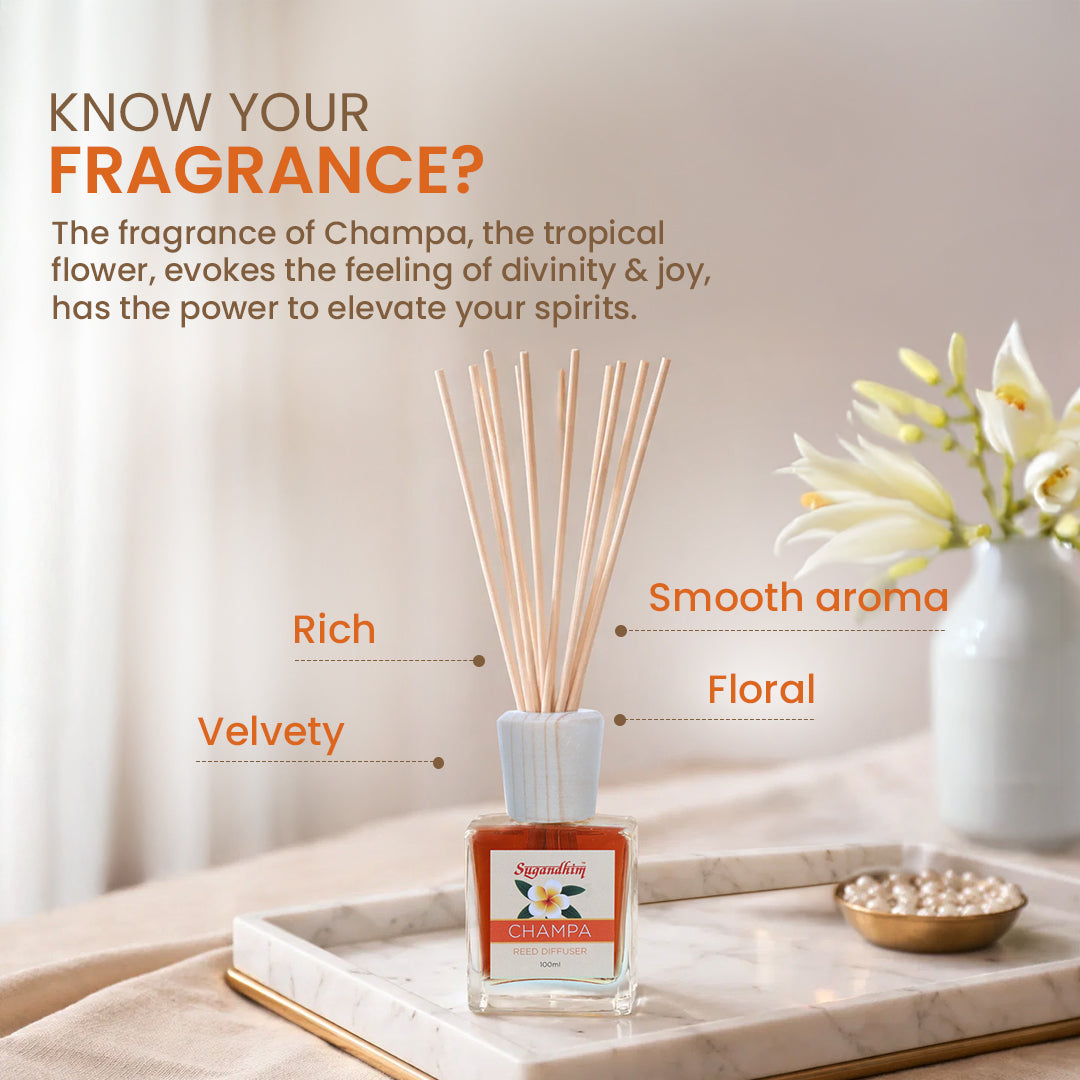 Reed Diffuser Champa - 100ml + 5 Sticks