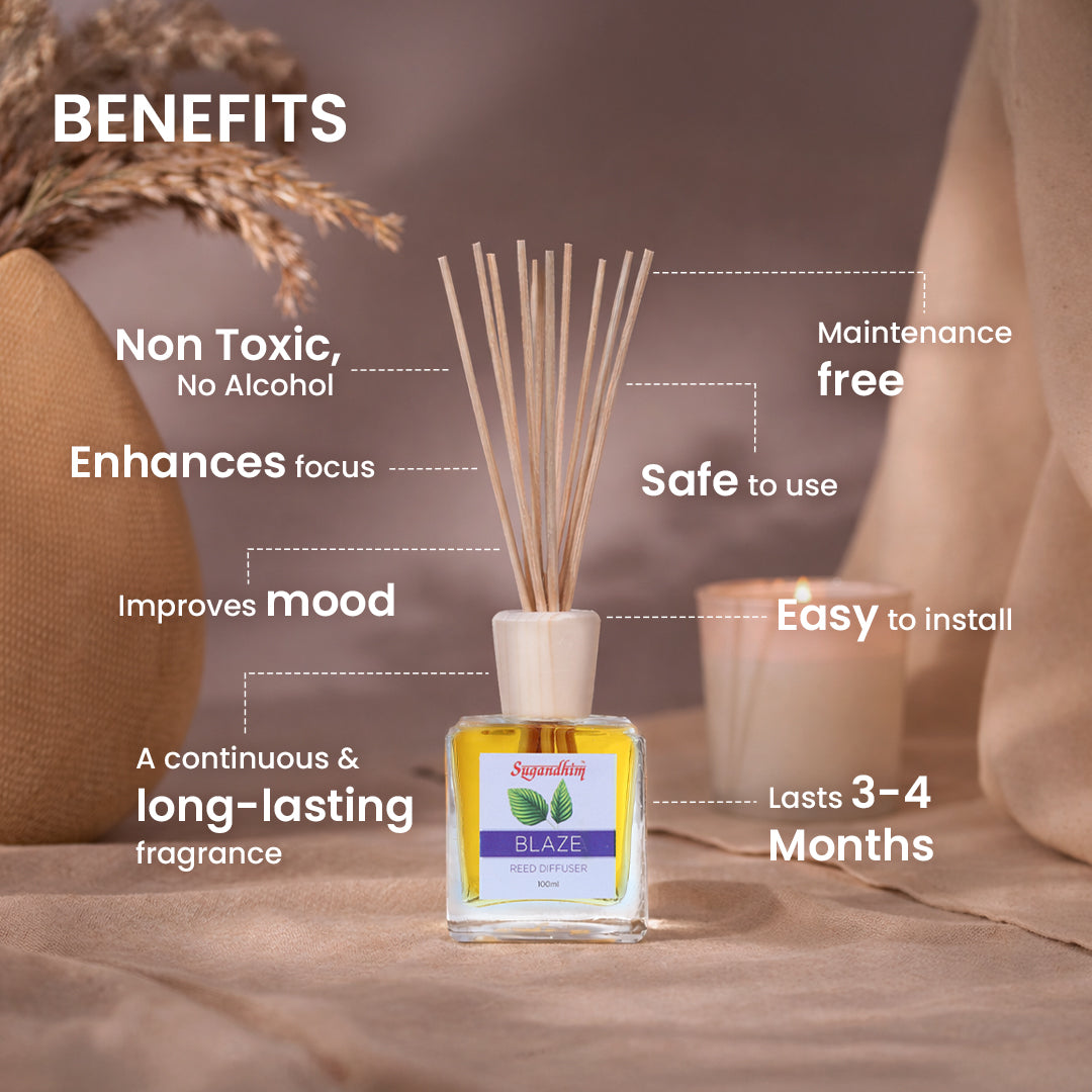 Reed Diffuser Customers favourite - Blaze & Charisma fragrance - 100mlX2 & 5 Sticks in each