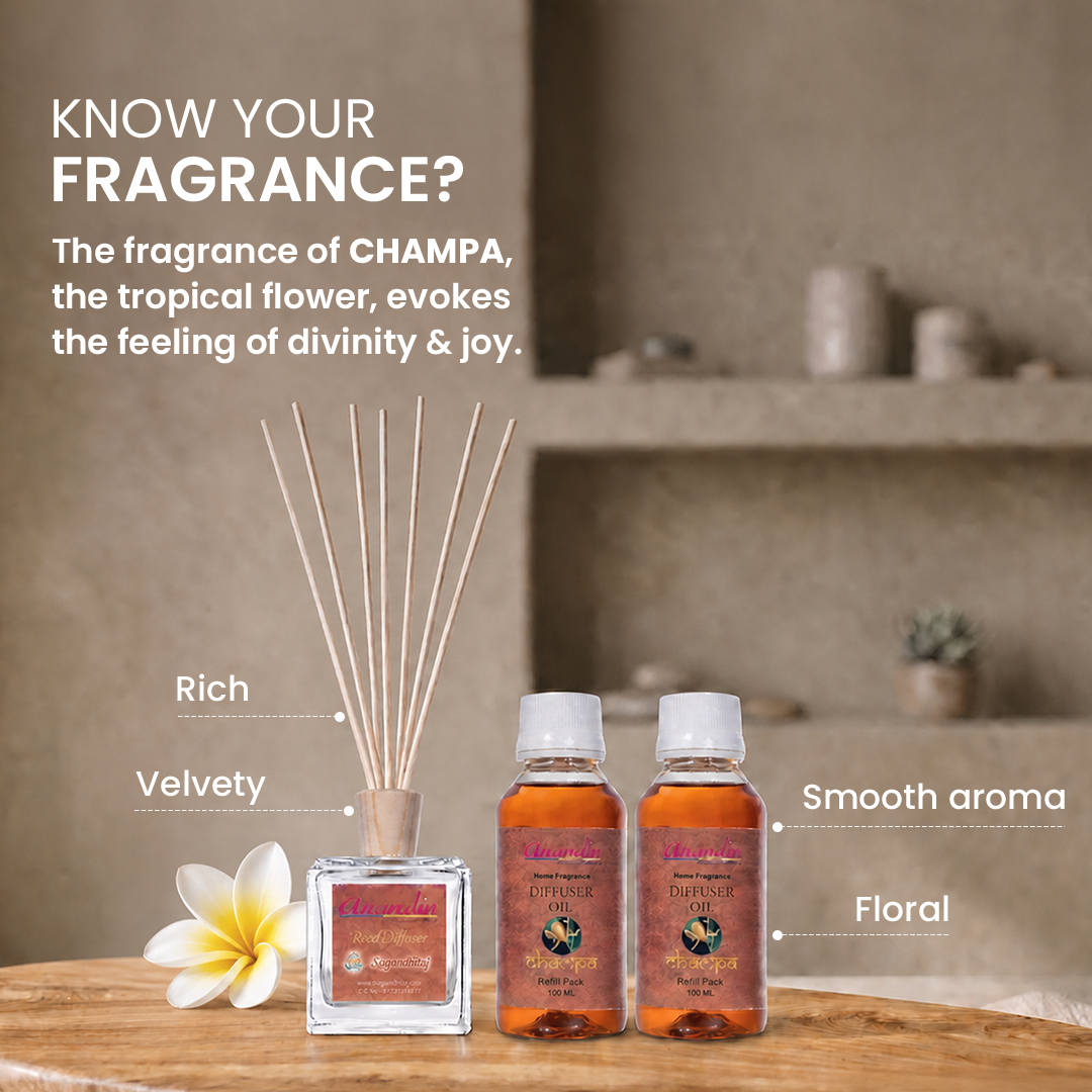 Anandin Reed Diffuser - Champa Fragrance - 200ml + 10 Sticks
