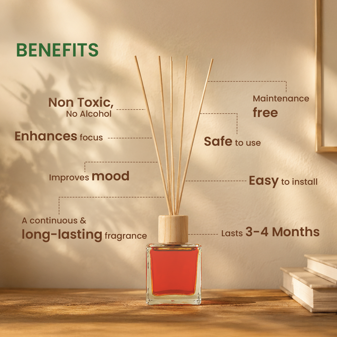 Anandin Reed Diffuser - Riddhi/Mogra Fragrance - 200ml+10Sticks
