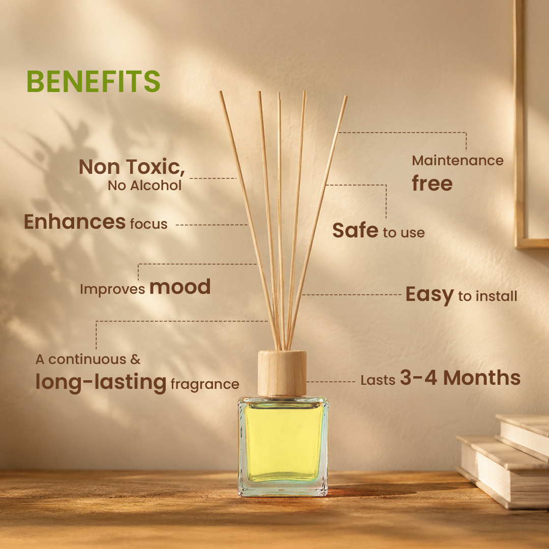 Anandin Reed Diffuser - Vriddhi/Lemongrass Fragrance - 200ml+10Sticks