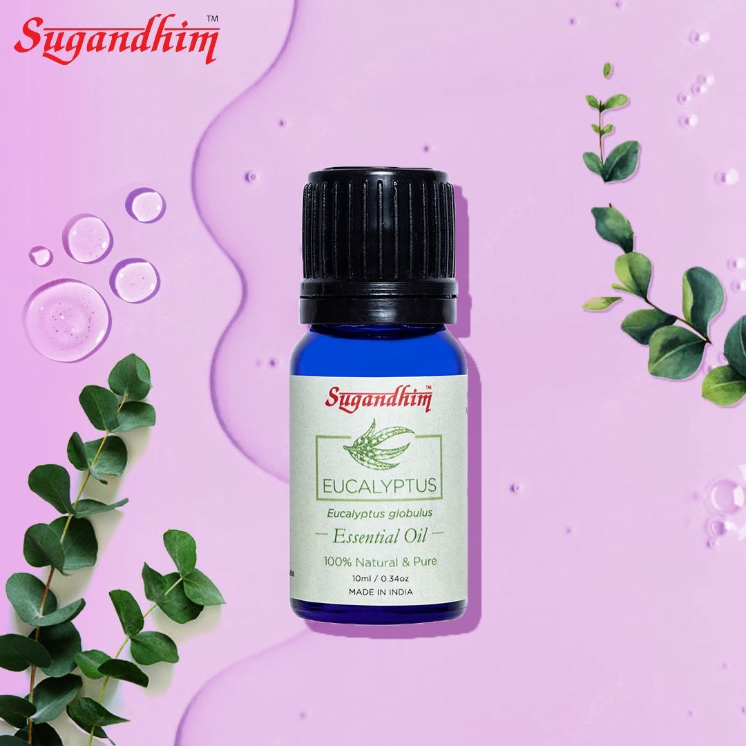 Eucalyptus Essential Oil - 10 ml
