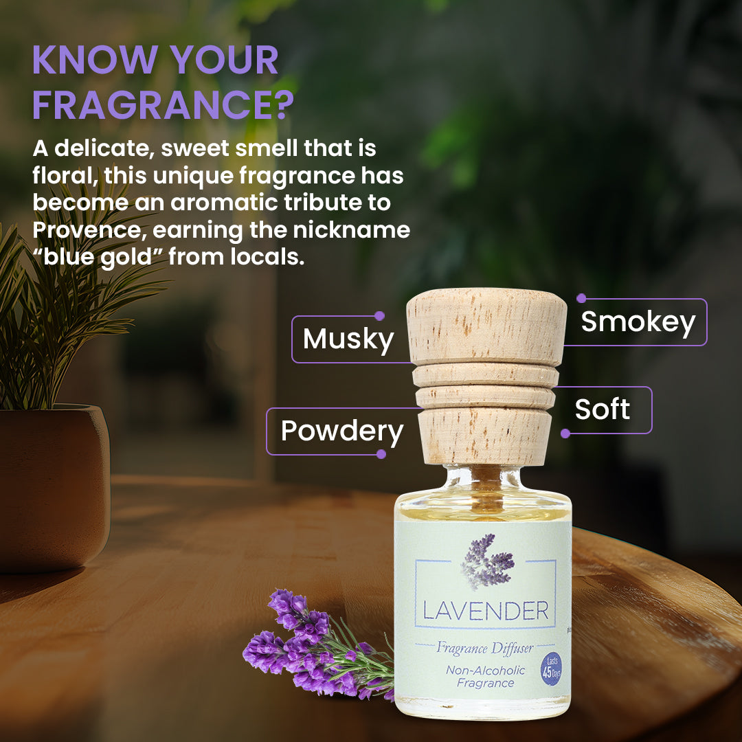 Fragrance Diffuser Lavender - 10ml