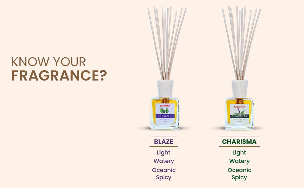 Reed Diffuser Customers favourite - Blaze & Charisma fragrance - 100mlX2 & 5 Sticks in each