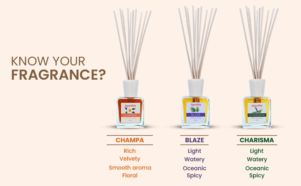 Reed Diffuser - Blaze, Champa & Charisma fragrance - 100mlX3