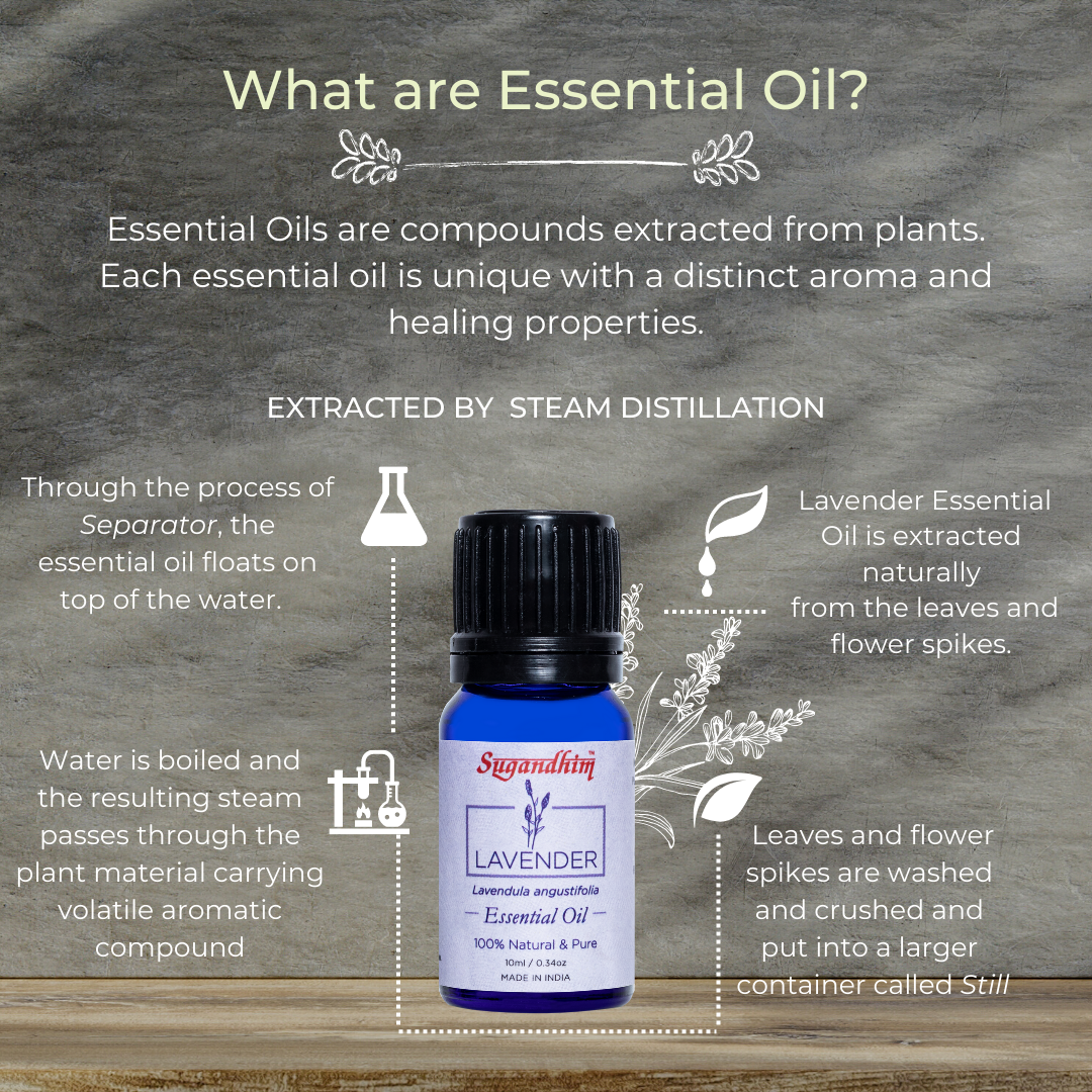 What Are Essential Oil