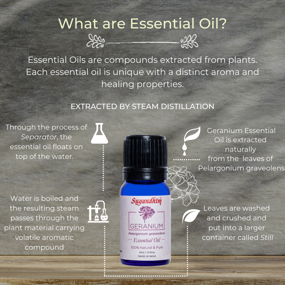 Geranium Essential Oil - 10 ml