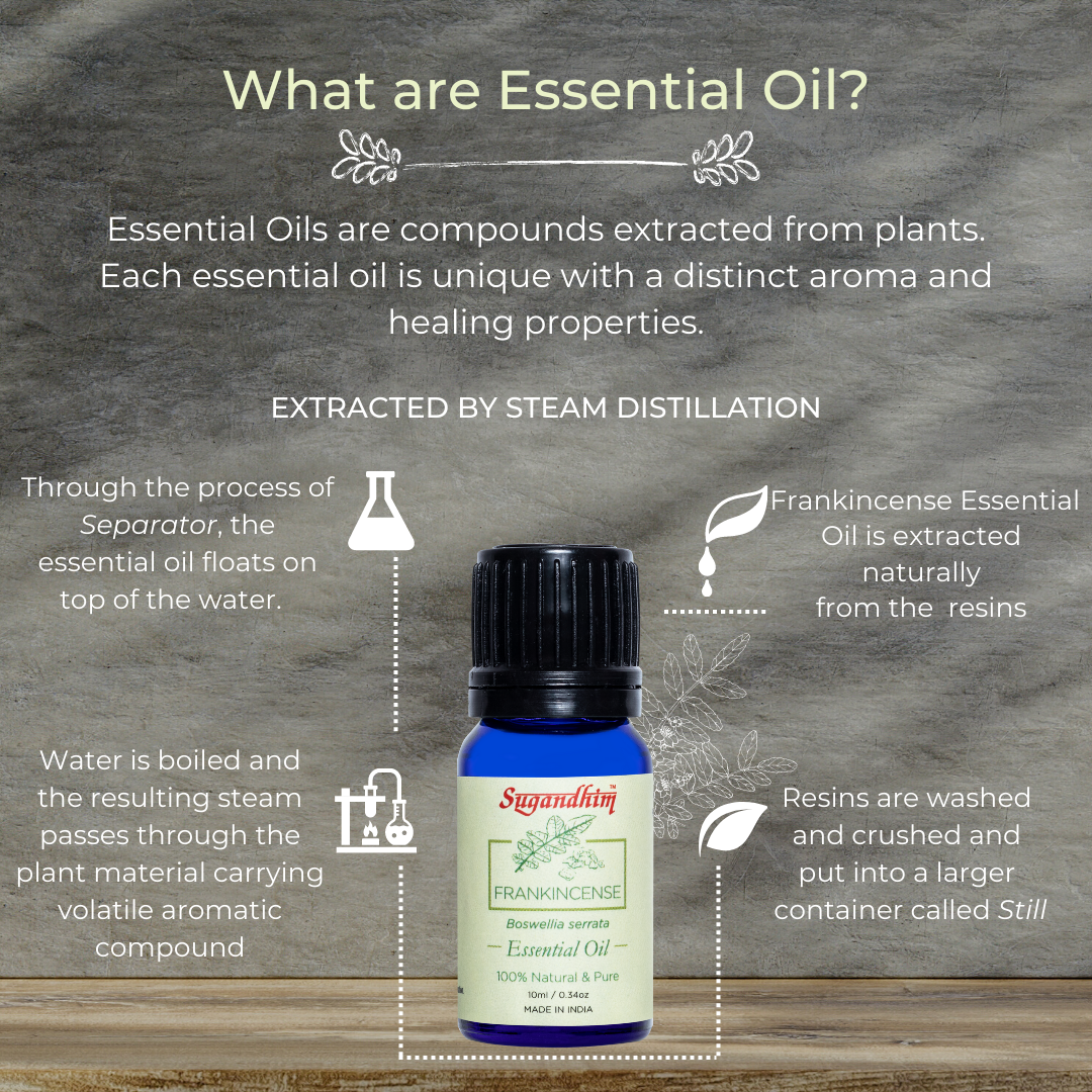 Frankincense Essential Oil - 10 ml