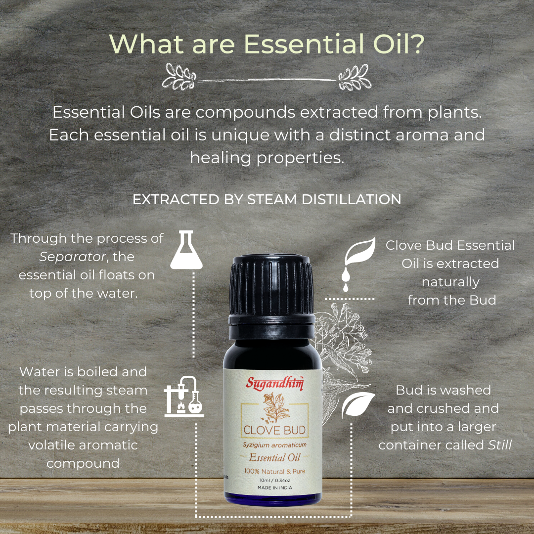 Clove Bud Essential Oil - 10 ml