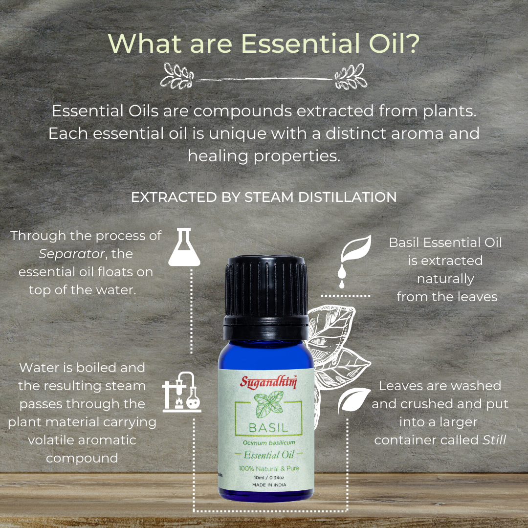 What Are Essential Oil? - Sugandhim