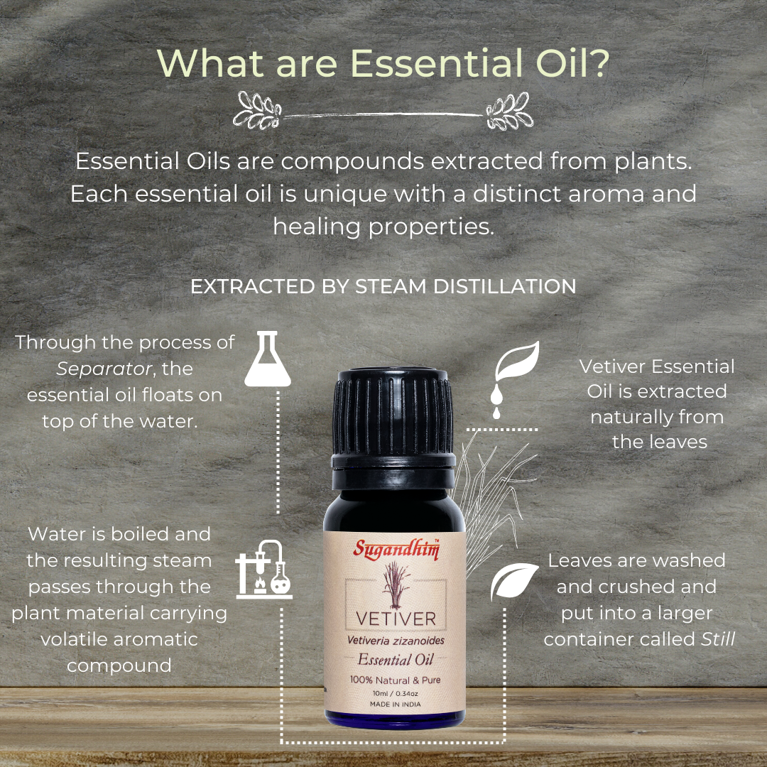 Vetiver Essential Oil - 10 ml