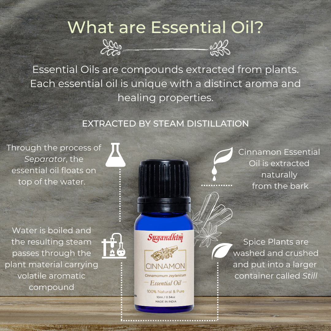 Cinnamon Essential Oil - 10ml