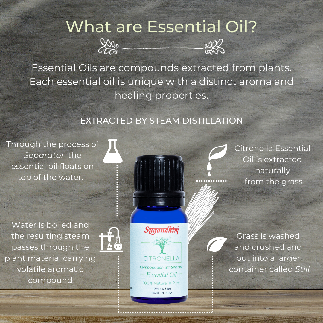 What Are Essential Oil - Sugandhim
