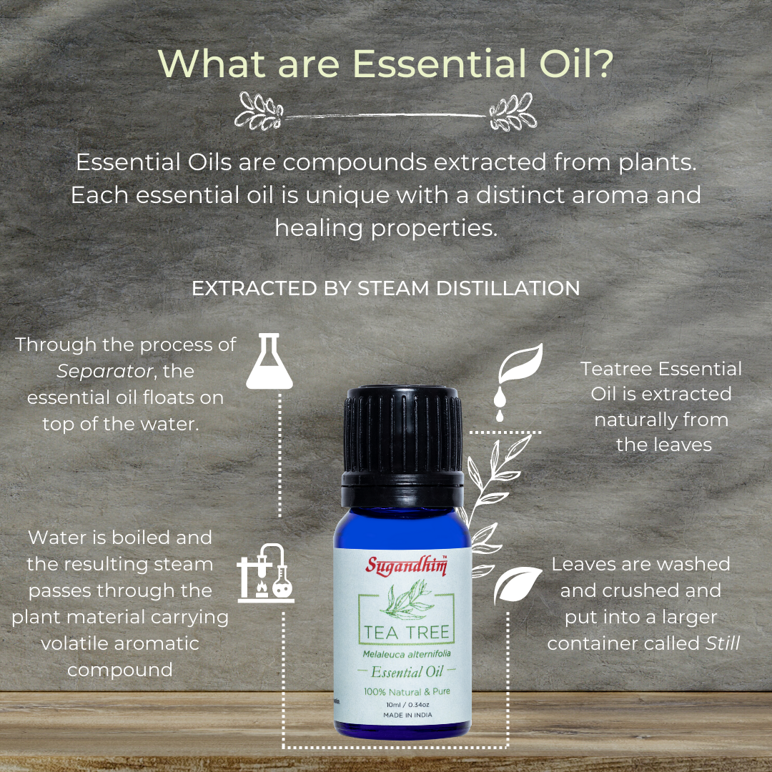 Tea Tree Essential Oil - 10 ml