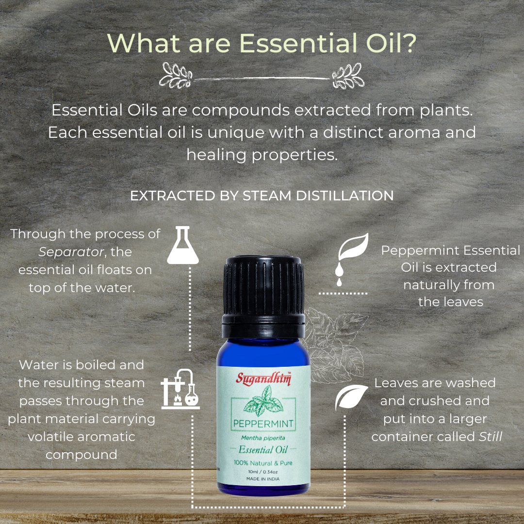 Peppermint Essential Oil - 10 ml