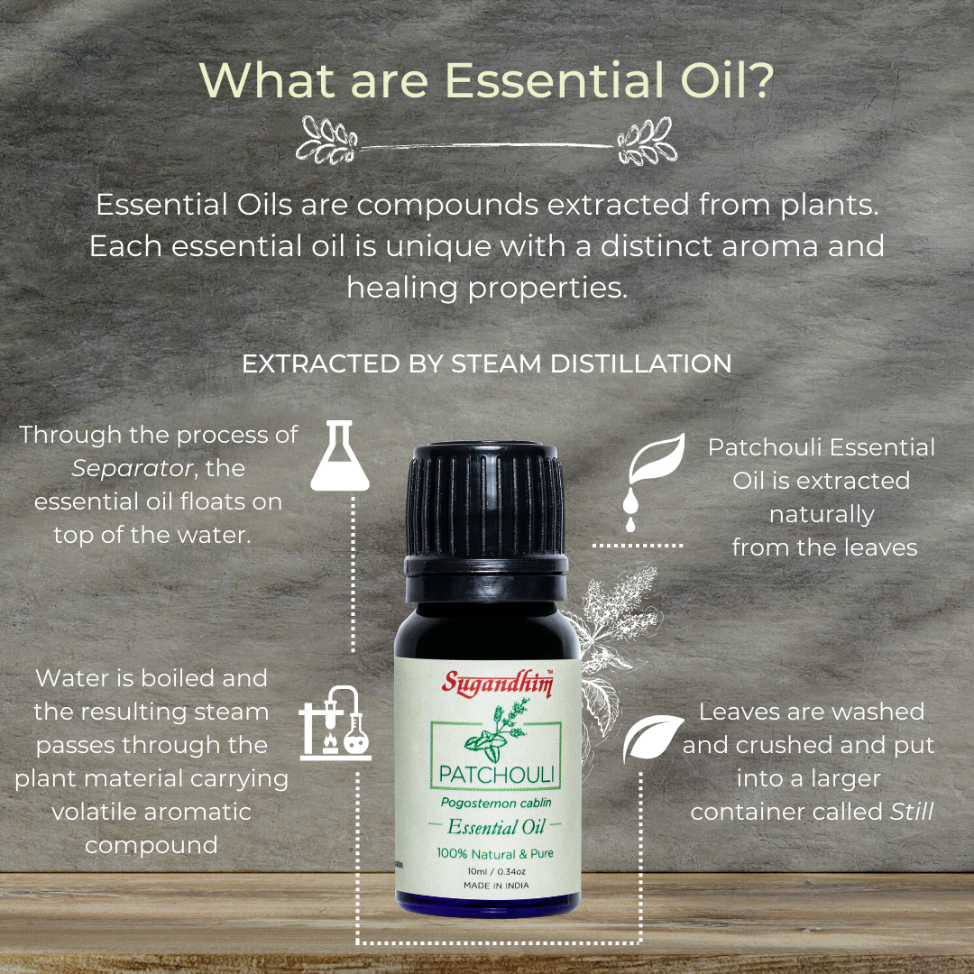 Patchouli Essential Oil - 10 ml