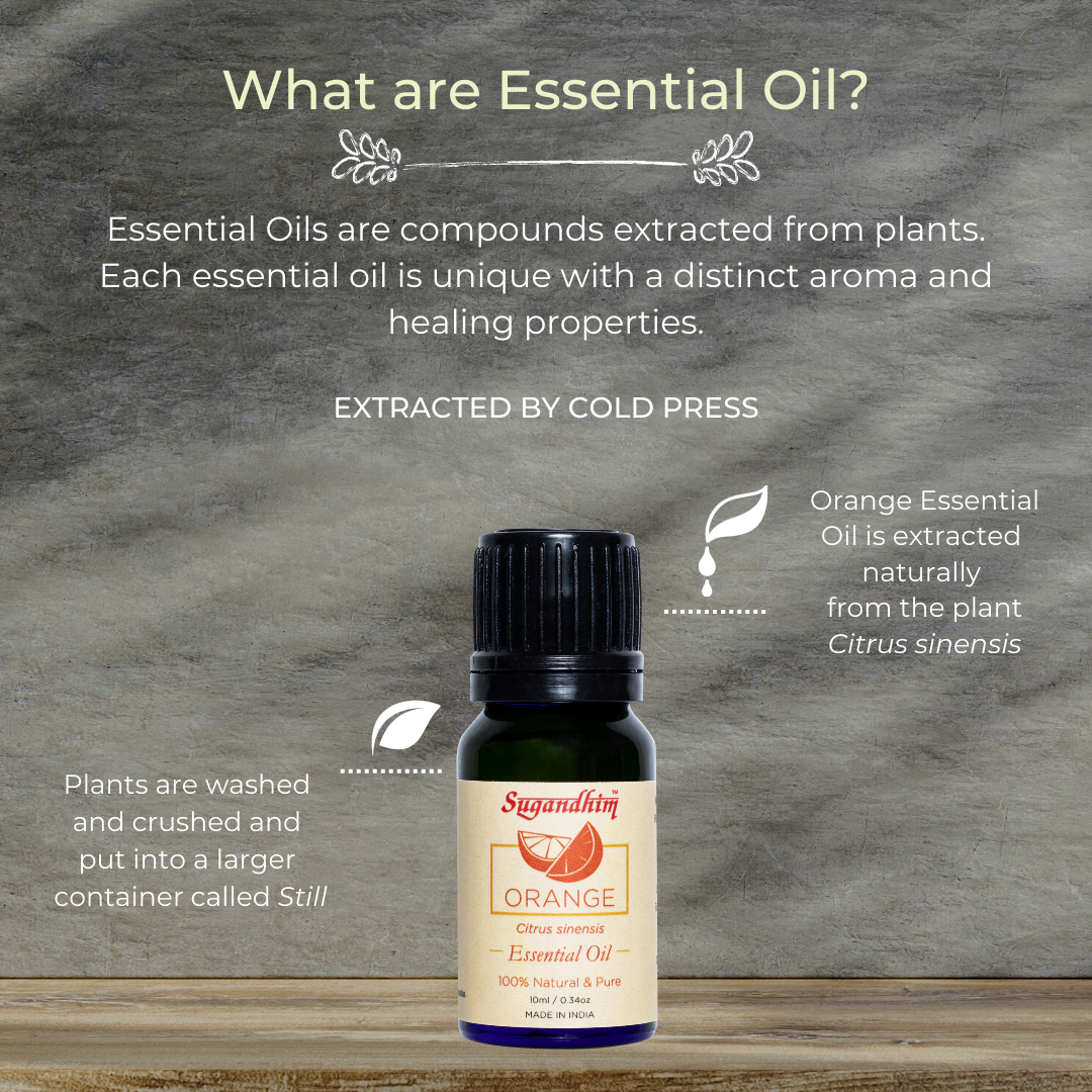 Orange Essential Oil - 10 ml