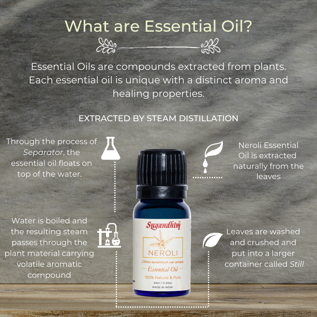 Neroli Essential Oil - 10 ml