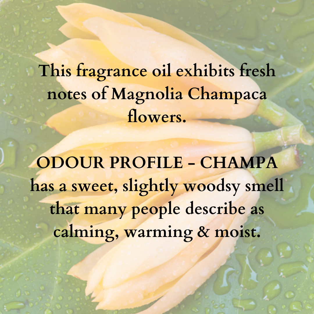 Reed Diffuser Champa - 100ml + 5 Sticks