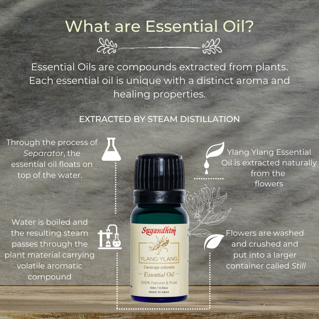 Ylang Ylang Essential Oil - 10 ml