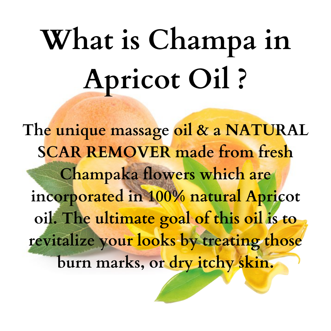 Champa in Apricot Massage Oil - 50ml
