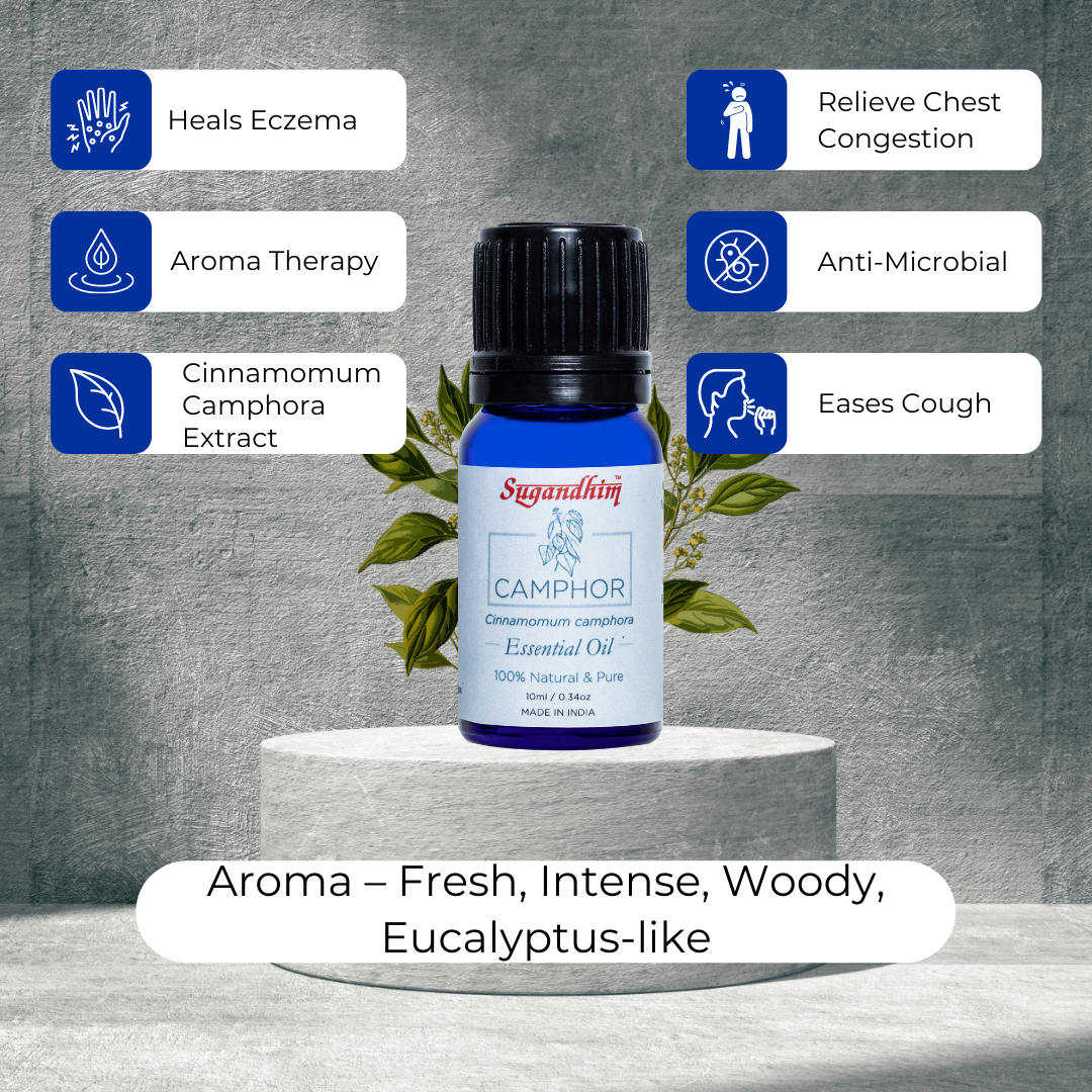 Camphor Essential Oil - 10 ml