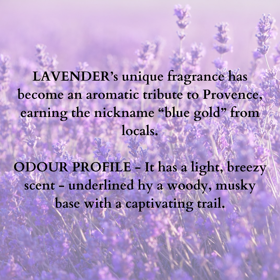 Aroma Oil Multi Purpose Lavender - 10ml/50ml/100ml