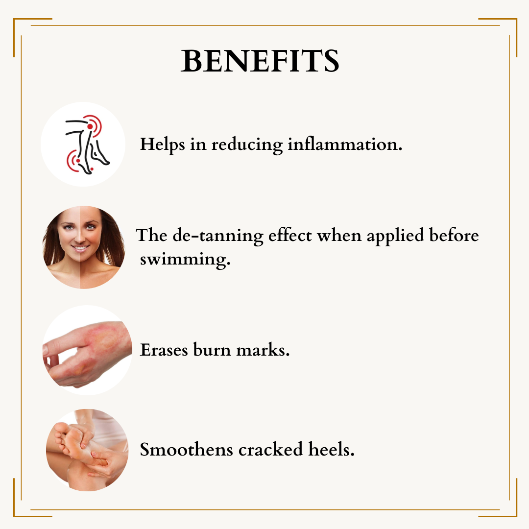 Champa in Apricot Massage Oil - 50ml