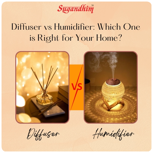 diffuser-vs-humidifier