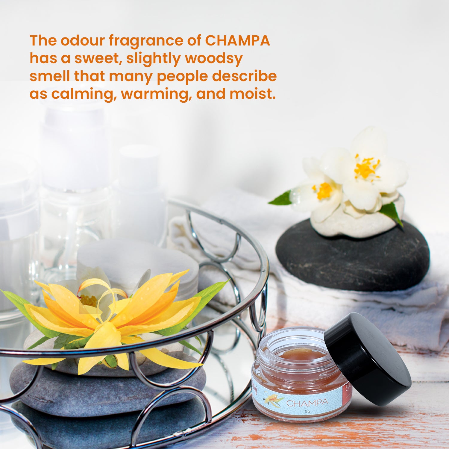 Solid Wax Perfume Champa Fragrance - 5gms