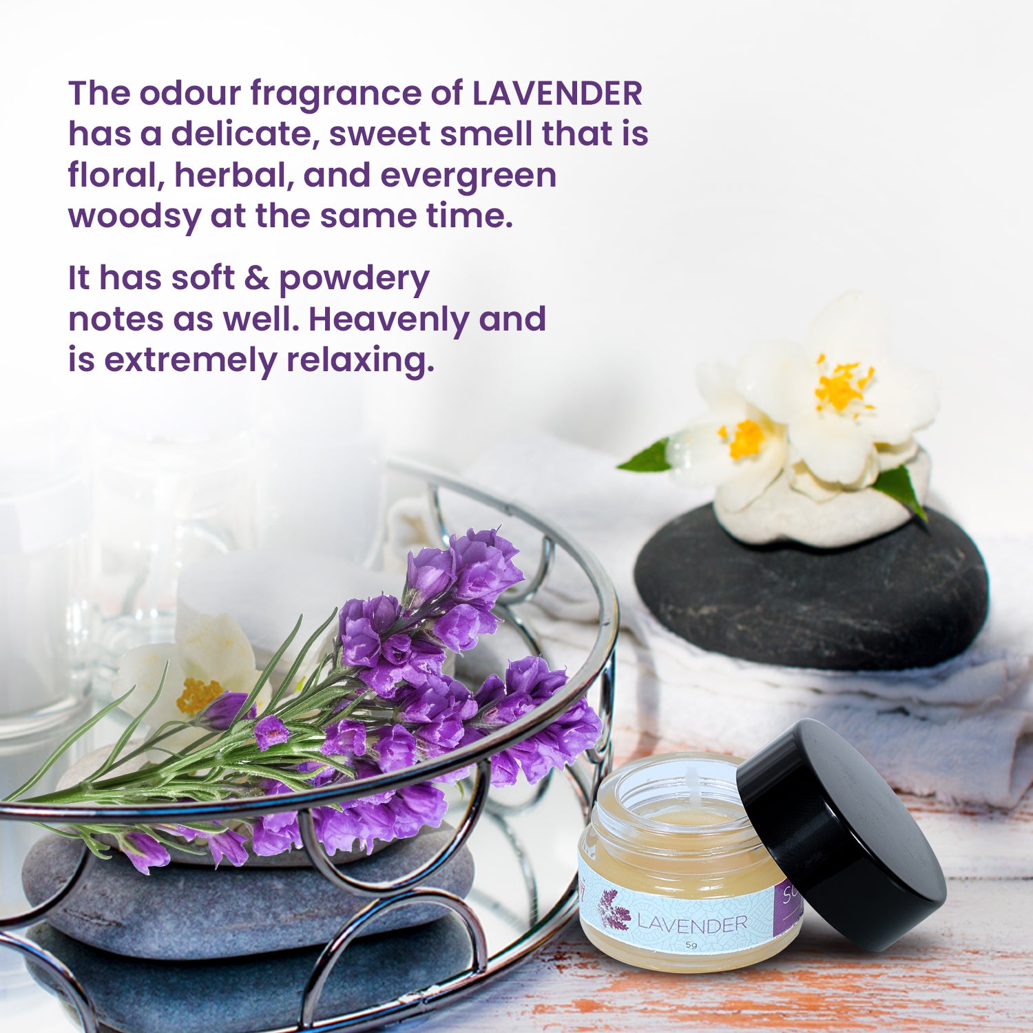 Solid Wax Perfume Lavender Fragrance - 5gms