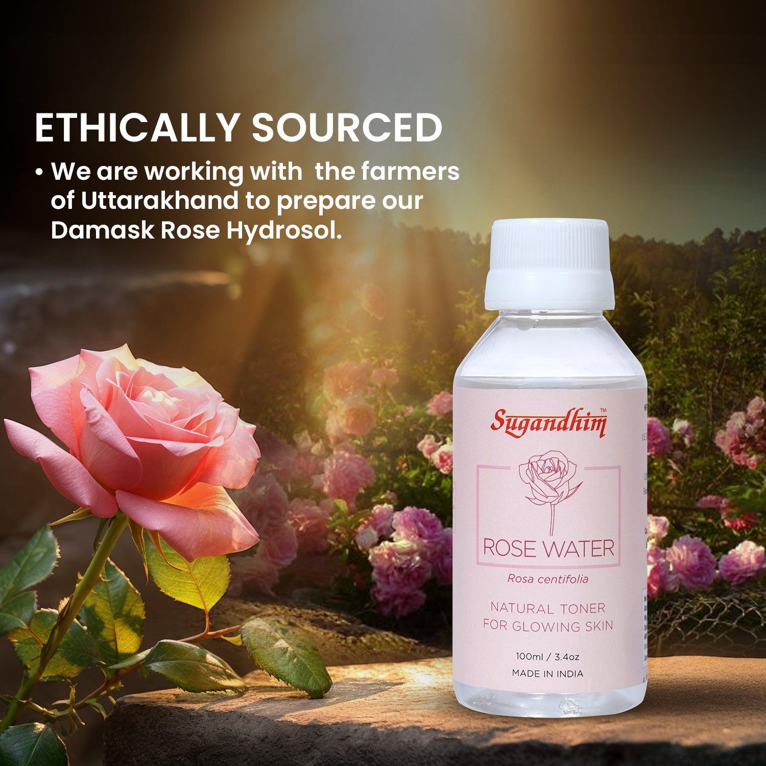 Rose Water For Skin, Face and Hair - 100ml