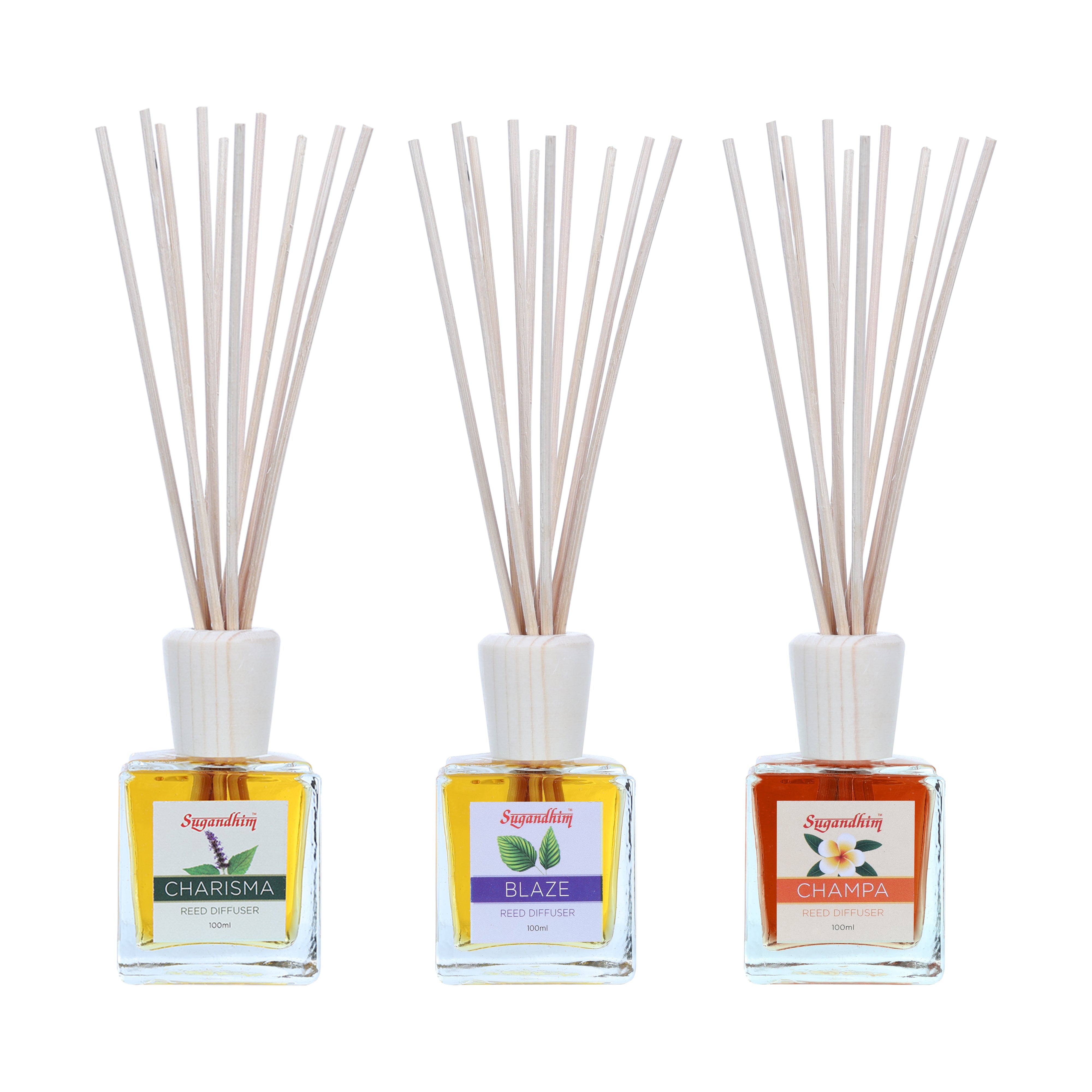 Reed Diffuser - Blaze, Champa & Charisma fragrance - 100mlX3