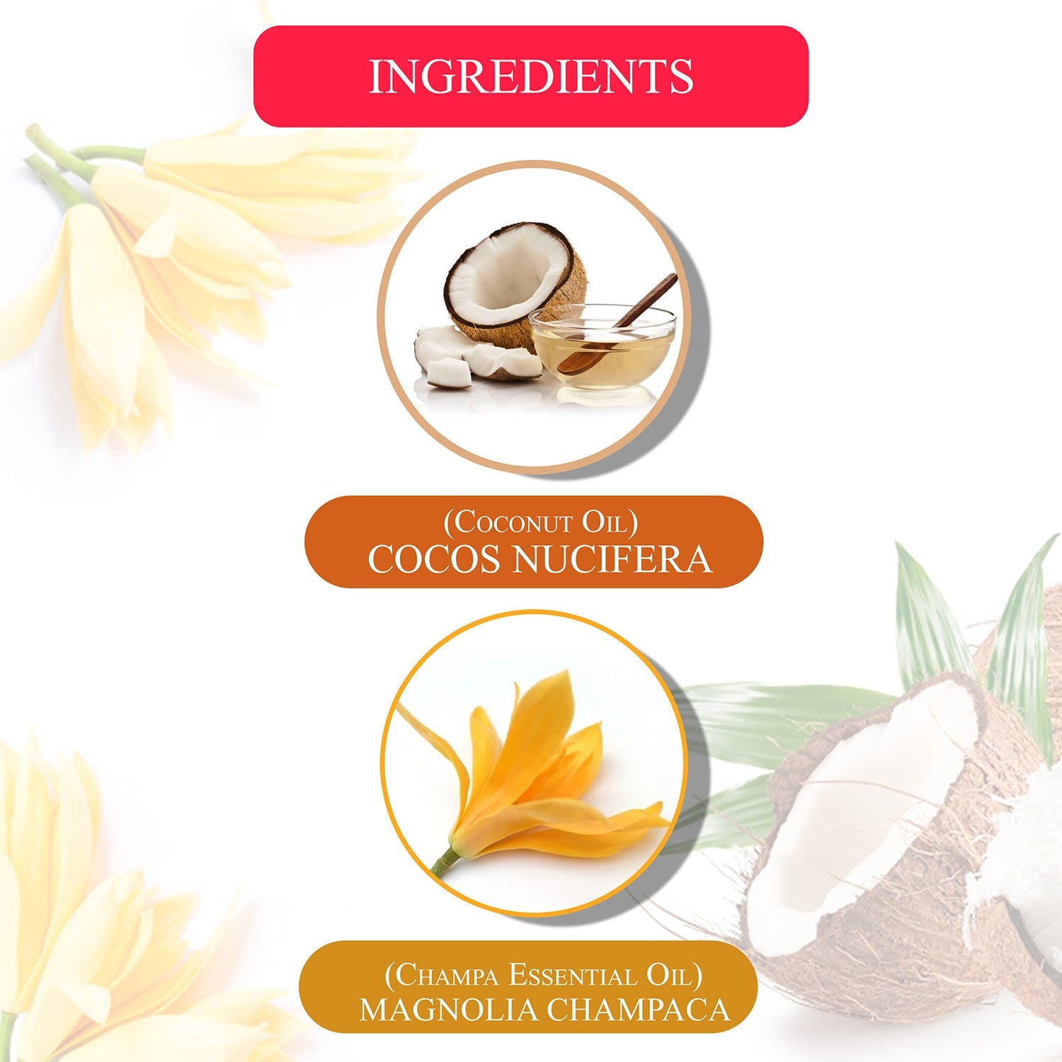 Champa in Coconut - Face and Body Massage Oil - 100ml