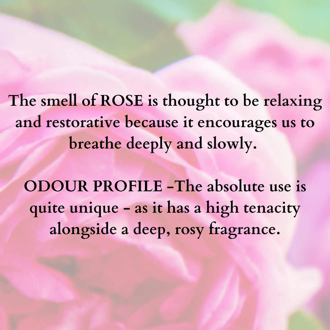 Fragrance Diffuser Rose - 10ml