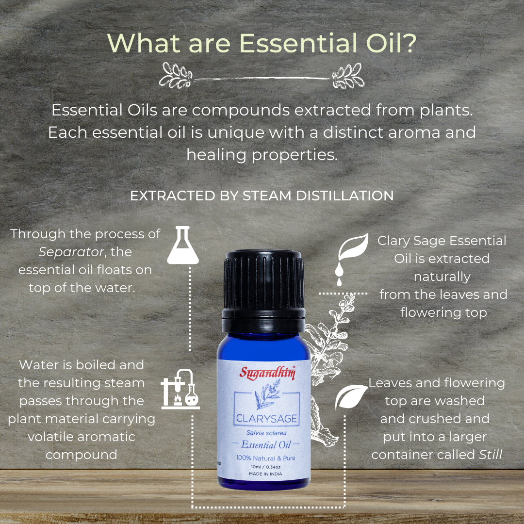 Clary Sage Essential Oil - 10 ml