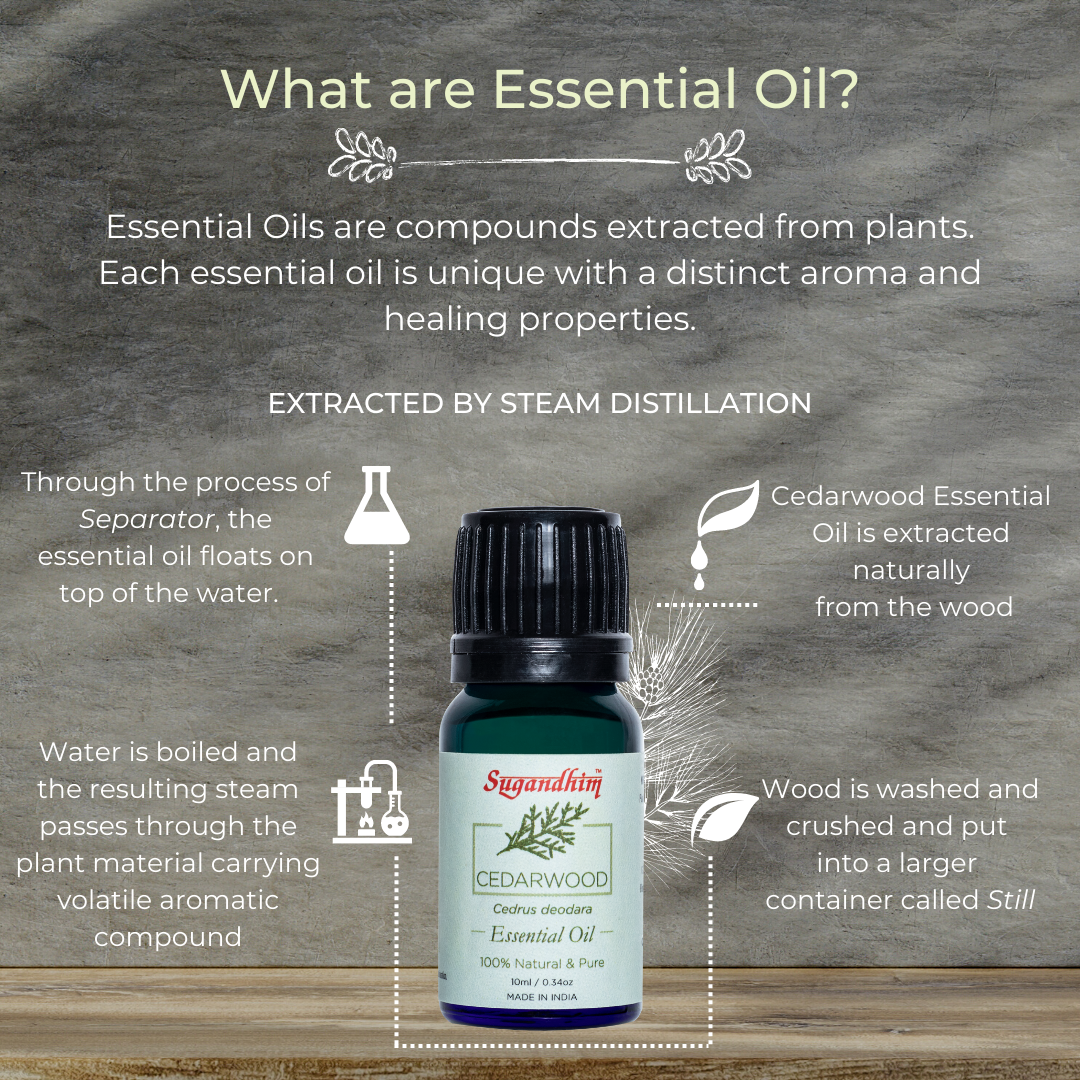Cedarwood Essential Oil - 10 ml