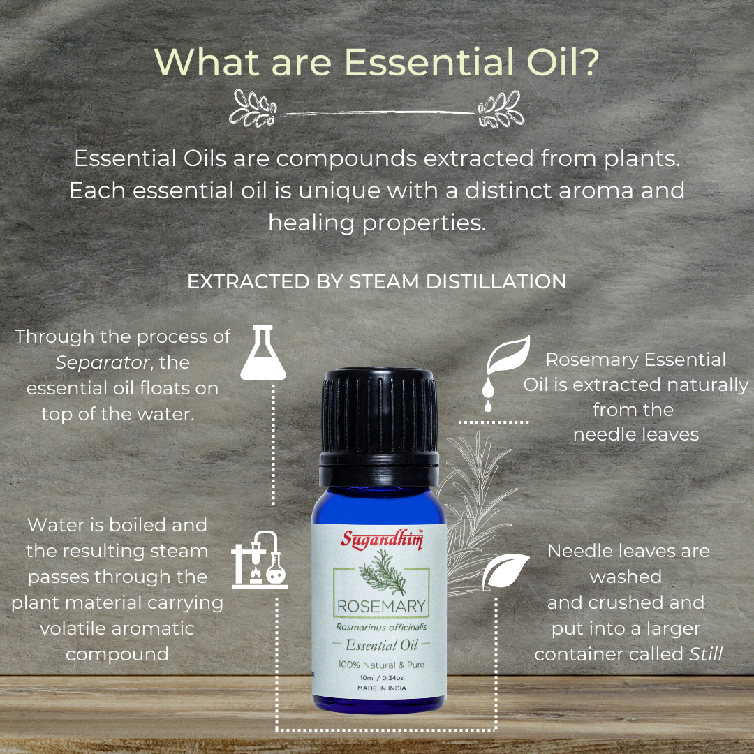 Rosemary Essential Oil - 10 ml