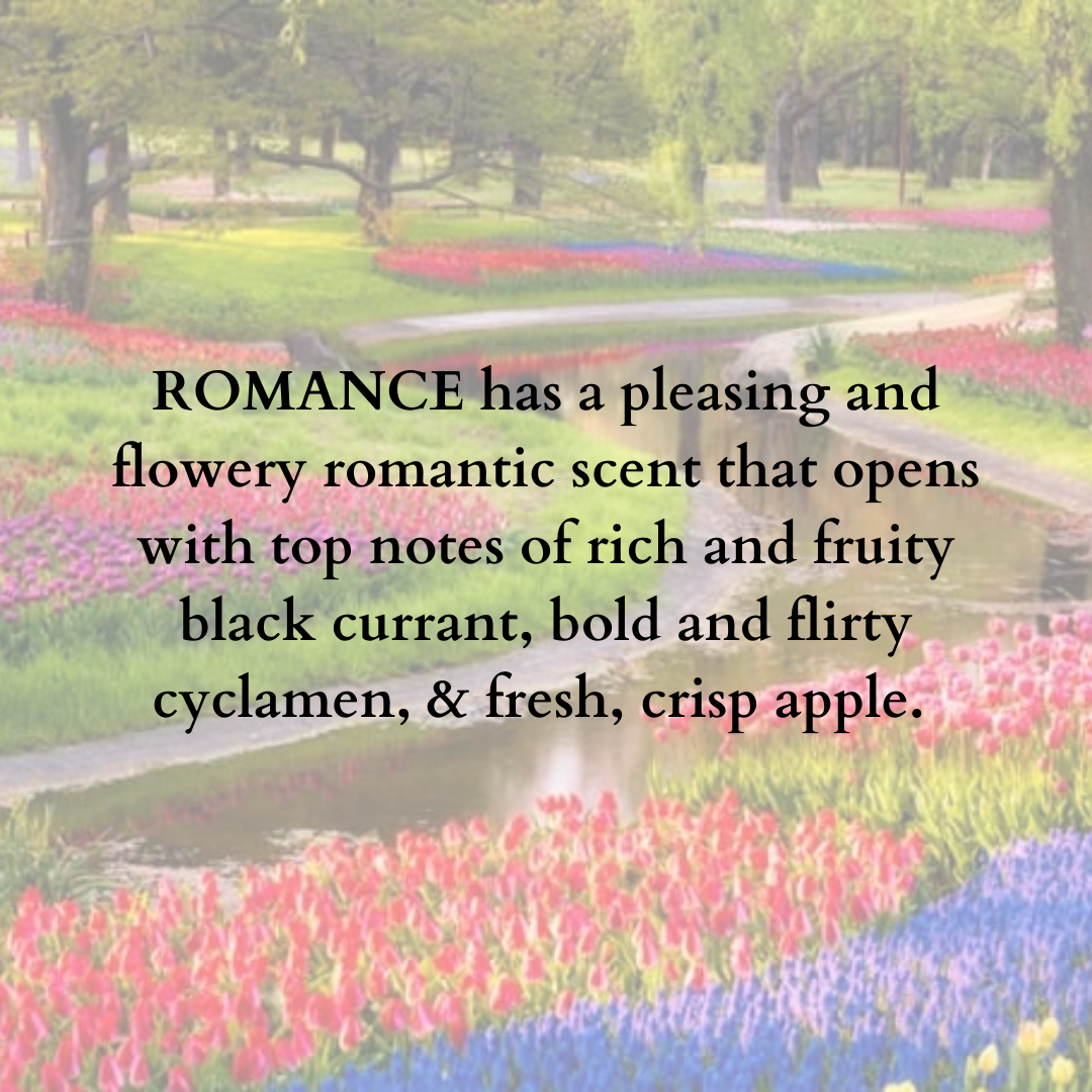 Fragrance Diffuser Romance - 10ml