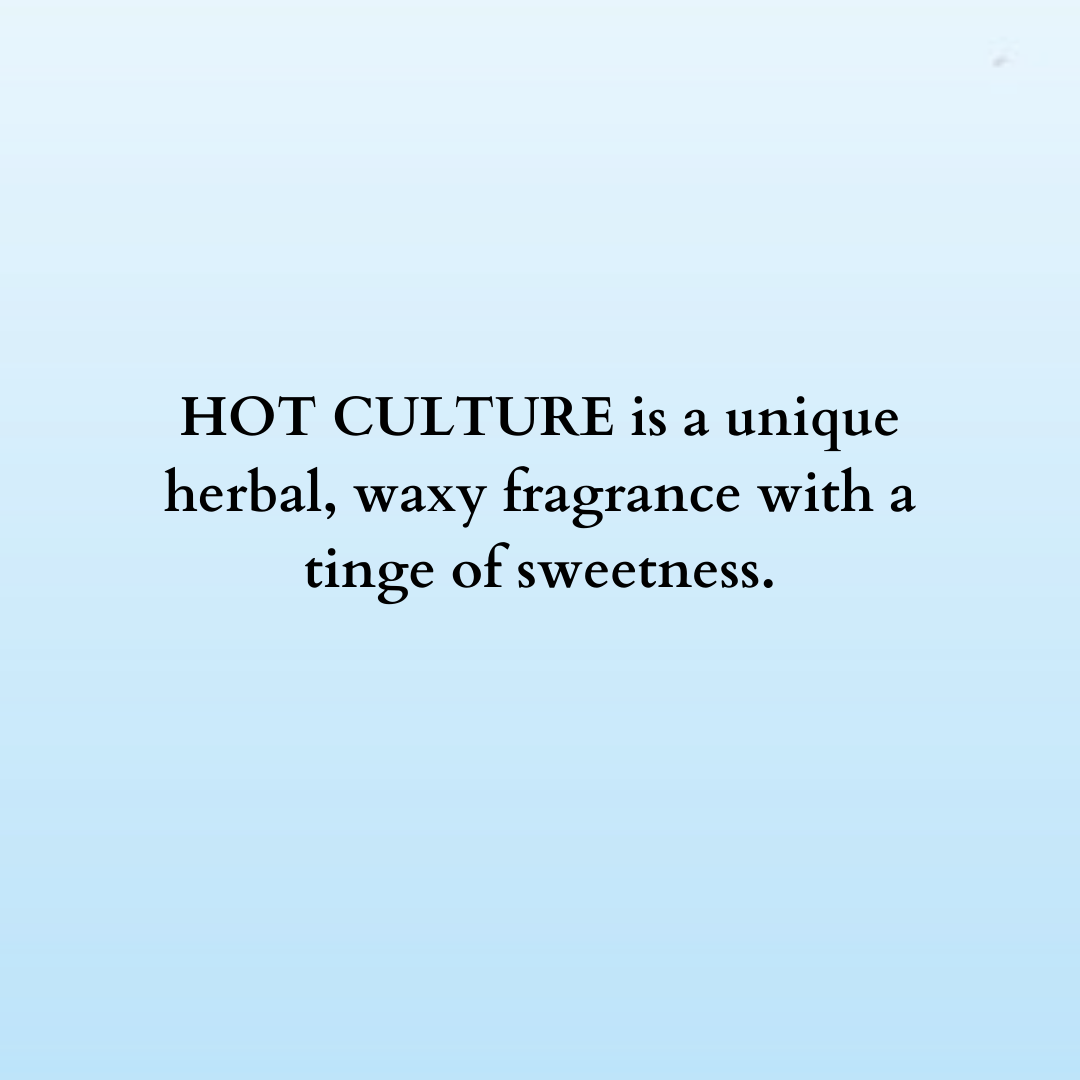 Fragrance Diffuser Hot Culture - 10ml