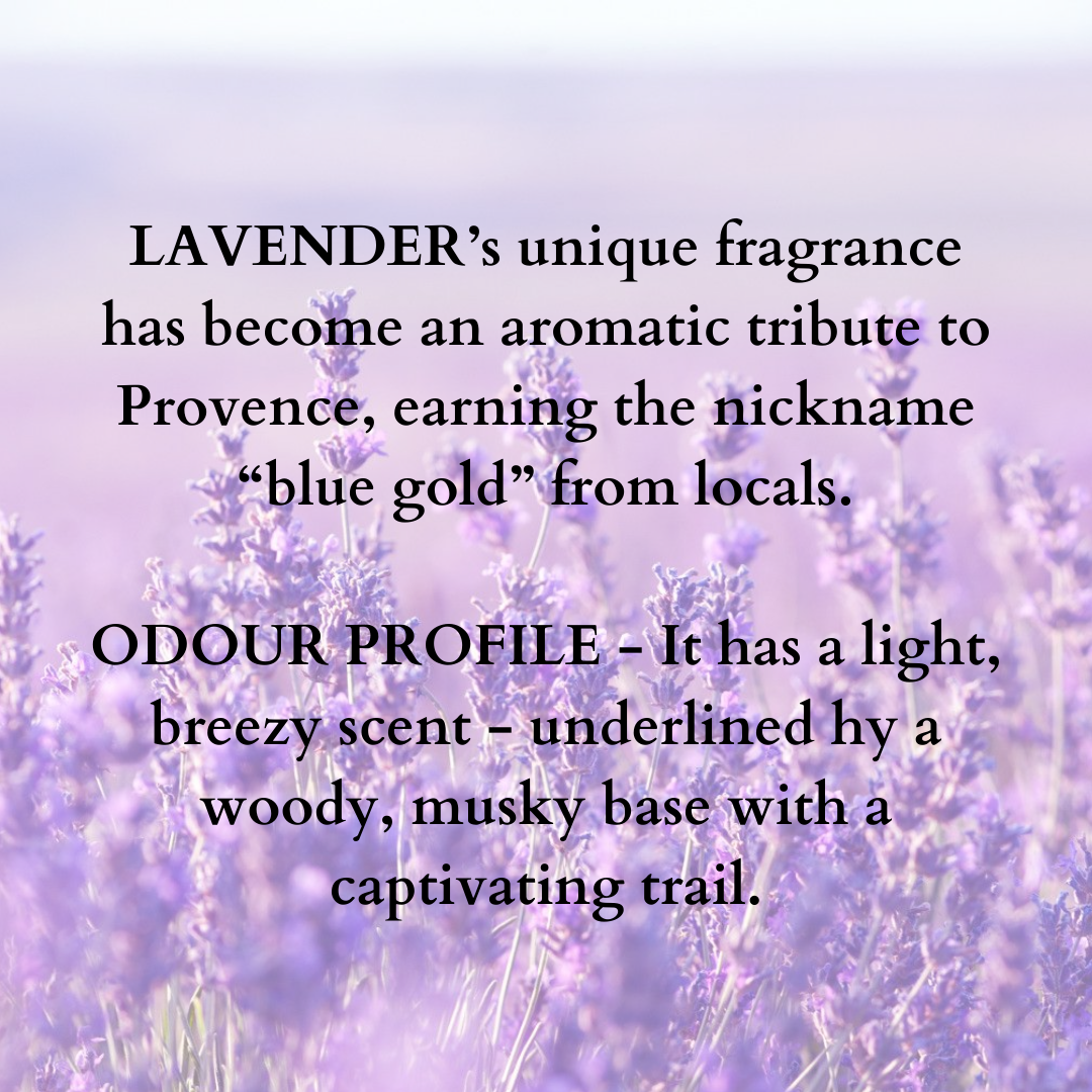 Solid Wax Perfume Lavender Fragrance - 5gms