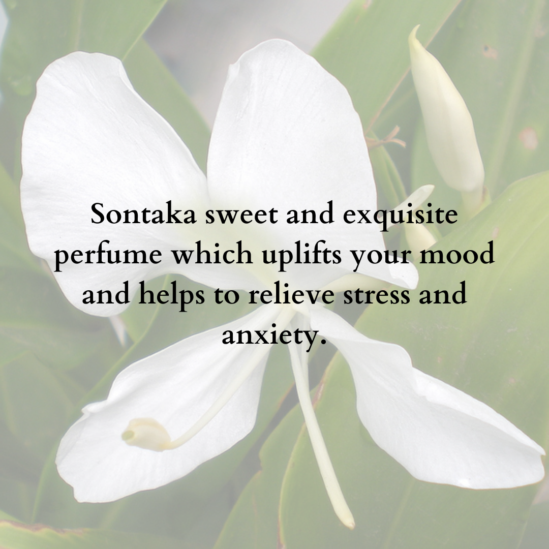Solid Wax Perfume Sontaka Fragrance - 5gms