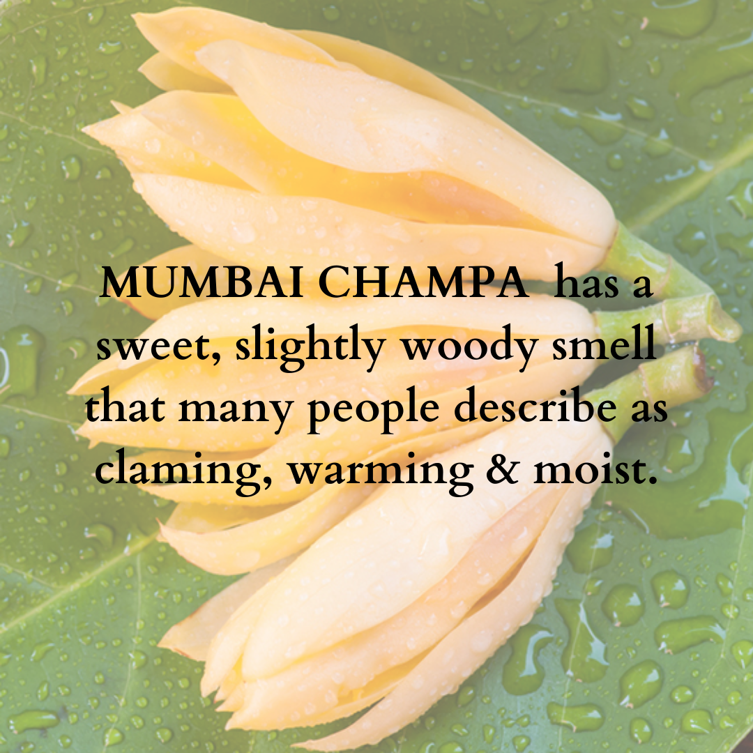 Handkerchief Roll-on Mumbai Champa/Chafa - 8ml
