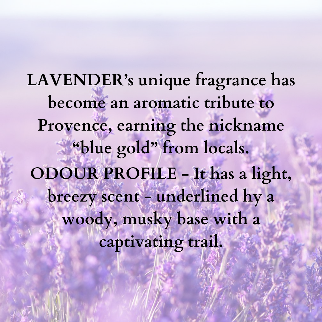 Mahak Lavender Car Fragrance - 15 ml