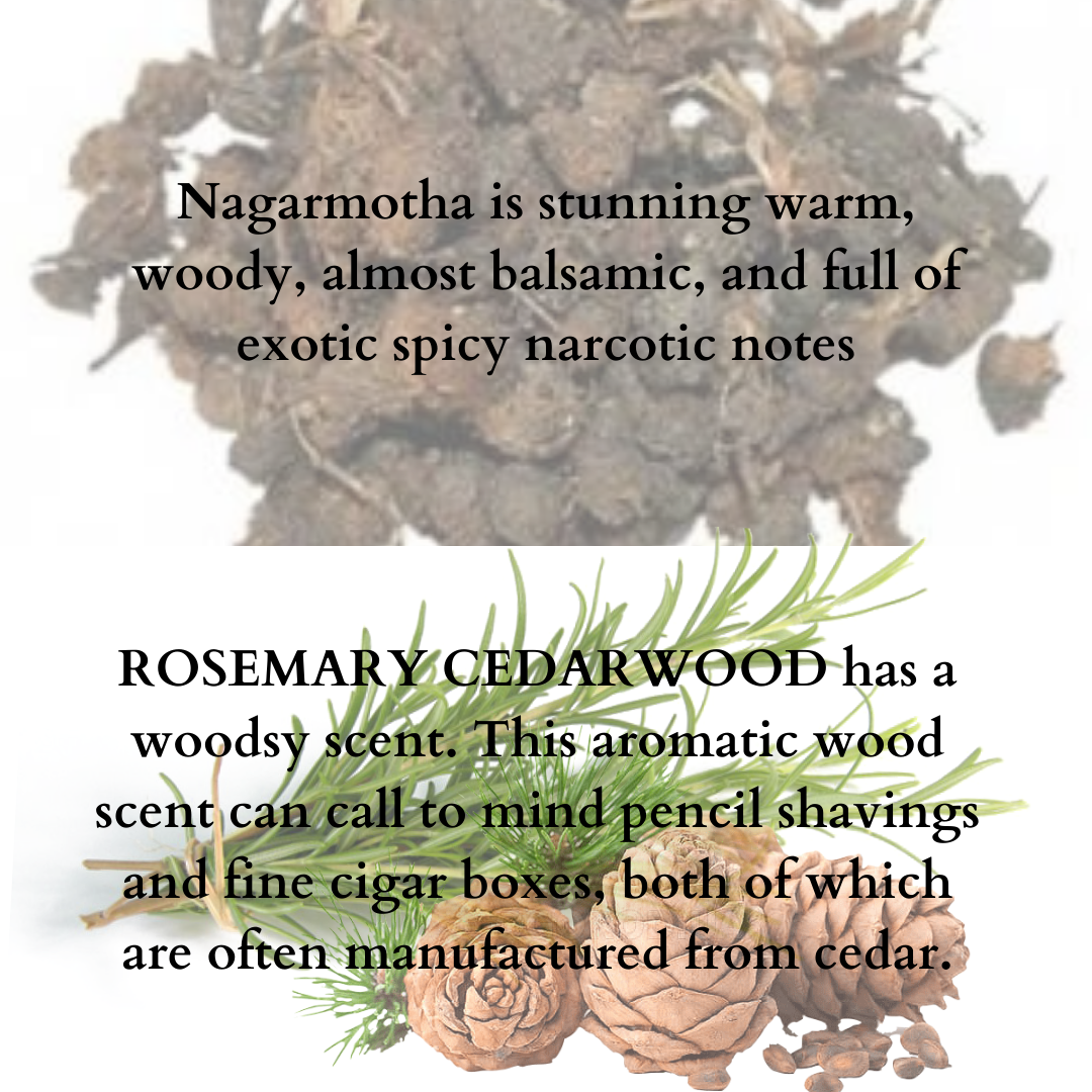 Handmade Soap Hair Care Duo - Nagarmotha & Rosemary Cedarwood - 95gmsX2