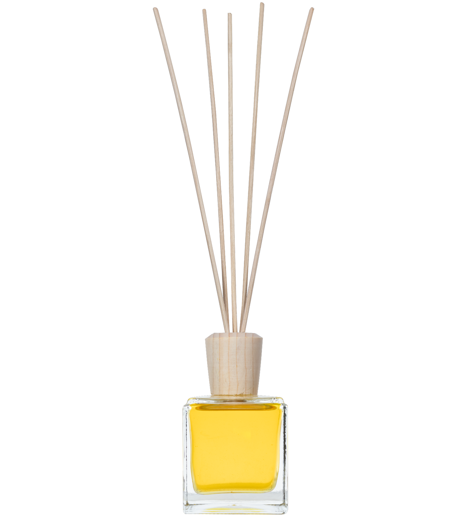 Anandin Reed Diffuser - Samruddhi/Blaze Fragrance - 200ml+10Sticks